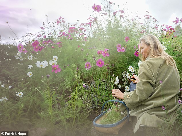Kate Moss in her Oxfordshire garden where she first found the ingredients for her Sacred Mist Eau de Parfum