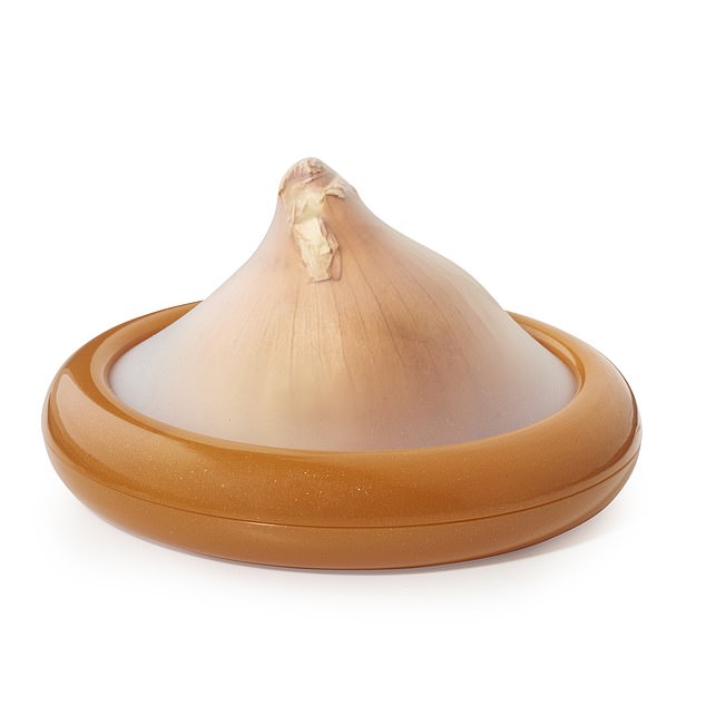 Fresh Stretch Silicone Onion Pod, £4.99