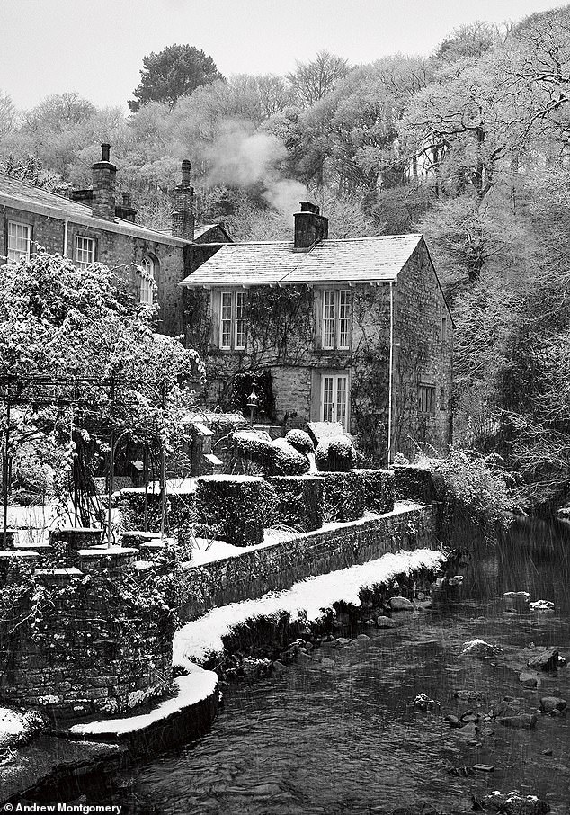 In winter the clipped formality of the gardens at Gresgarth Hall, Lancashire, contrasts starkly with the rambling woodland beyond and the arboretum on the slopes of the valley