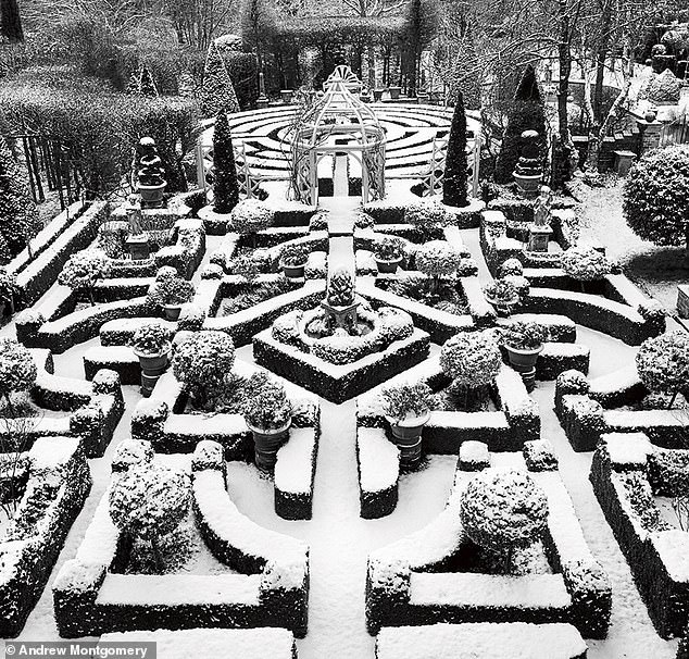Snow enhances the geometric patterns of evergreen box plants in the formal knot garden of a Tudor manor in Hampshire
