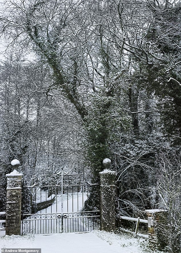Winter trees dusted white overhang the entrance gates to the manor